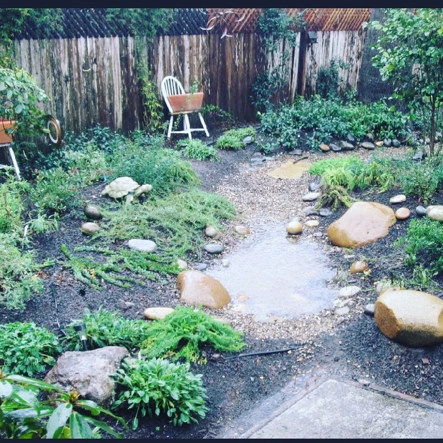 Affordable garden landscaping experts serving Sebastopol, CA - The Habitat Corridor Project