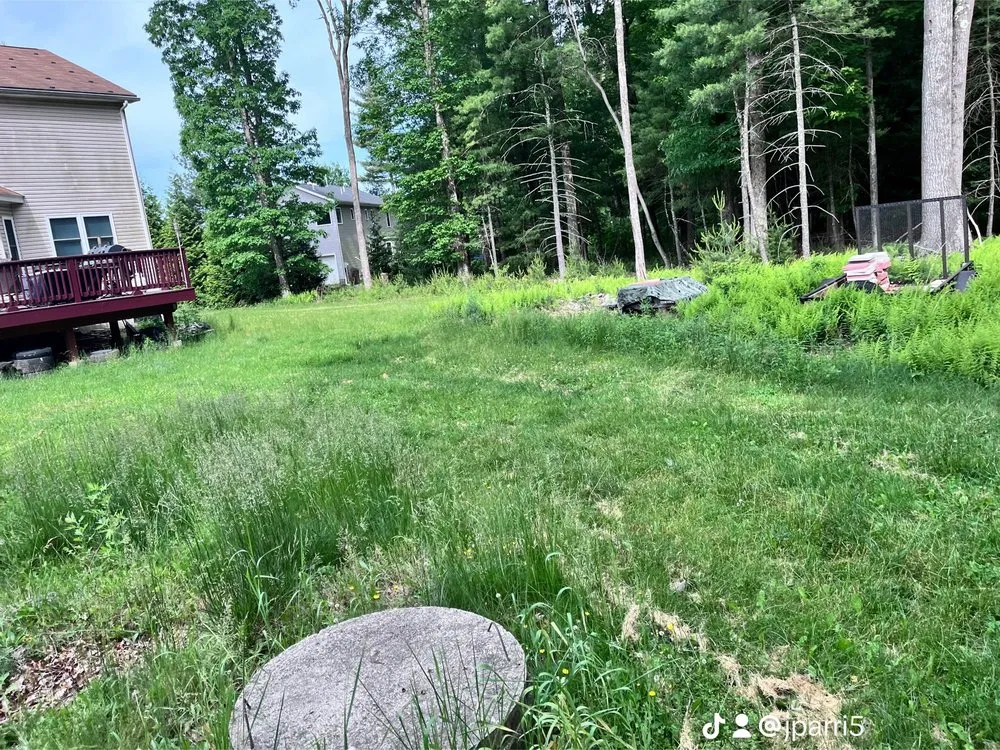 Top-rated landscaping services in Stroudsburg, PA - The Handsome Handyman