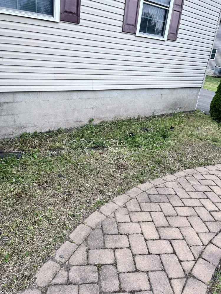 Top-rated yard cleanup service near you across Stroudsburg, PA - The Handsome Handyman