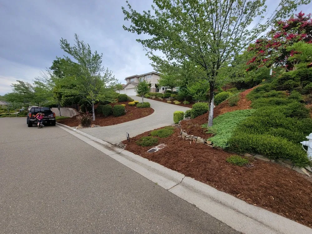 Expert landscape design for year-round maintenance across Placerville, CA - The Handy Couple