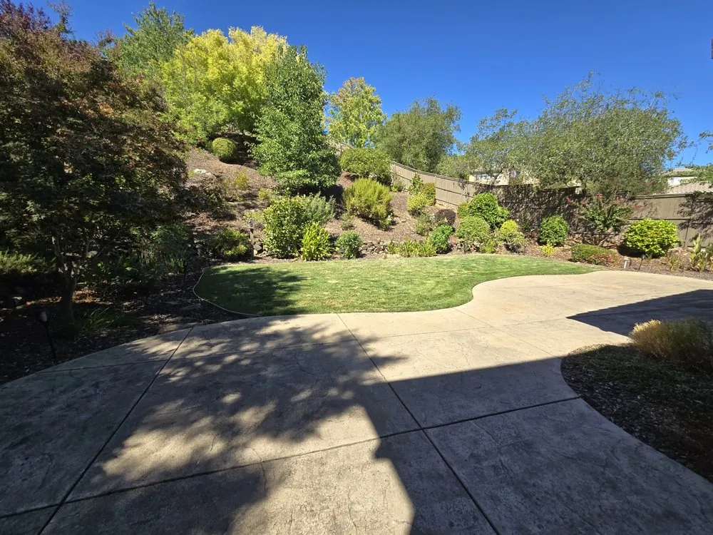 Professional yard cleanup service for homes in Placerville, CA by The Handy Couple