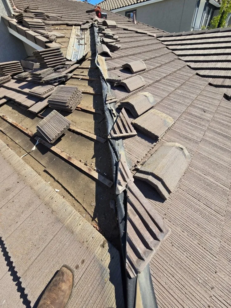 Top-rated residential landscaping for residential properties in Placerville, CA by The Handy Couple