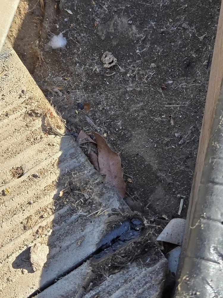 Affordable lawn care service for beautiful yards across Placerville, CA - The Handy Couple