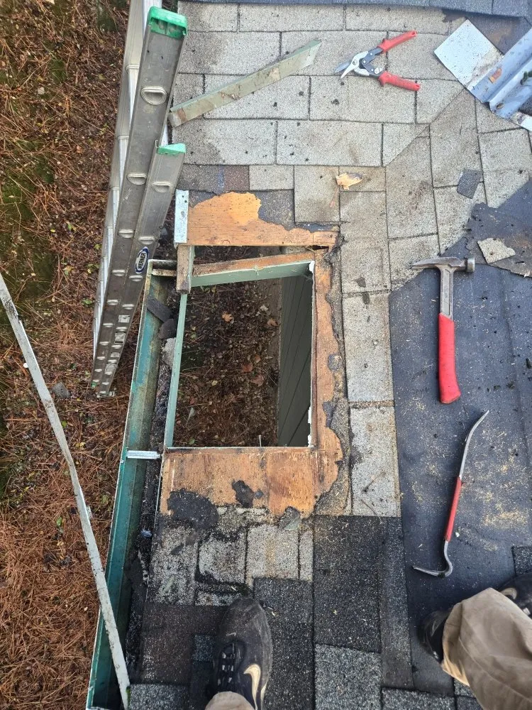 Trusted lawn care service in Placerville, CA - The Handy Couple