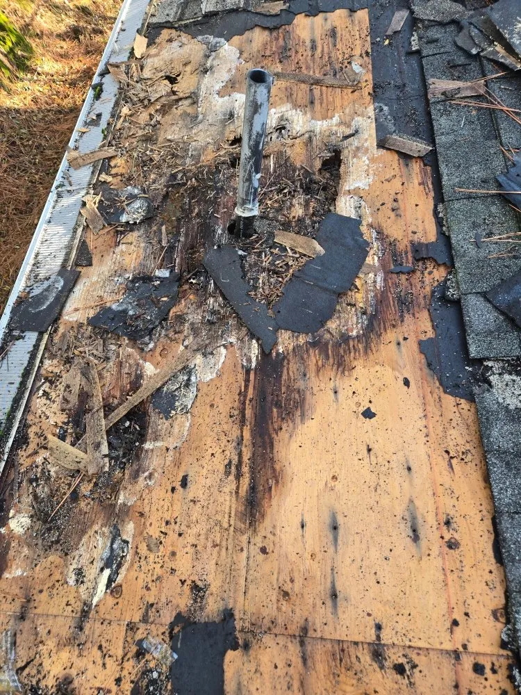 Reliable lawn care service in Placerville, CA - The Handy Couple