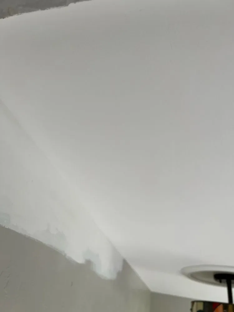 Trusted lawn care service in Cape Coral, FL by The Handy Gay Property Services