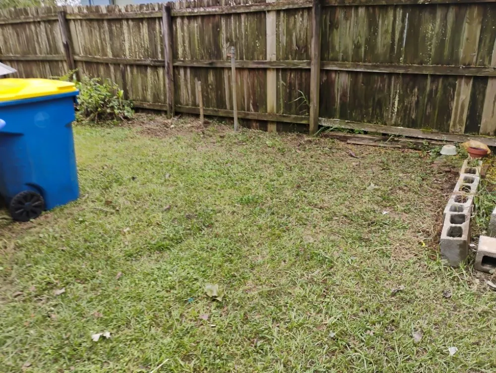 Affordable lawn care service experts serving Jacksonville, FL - The Handy Guru Lawn Care Service