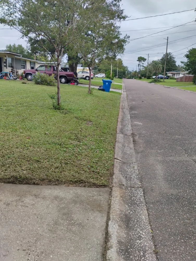 Custom landscaping services in Jacksonville, FL - The Handy Guru Lawn Care Service