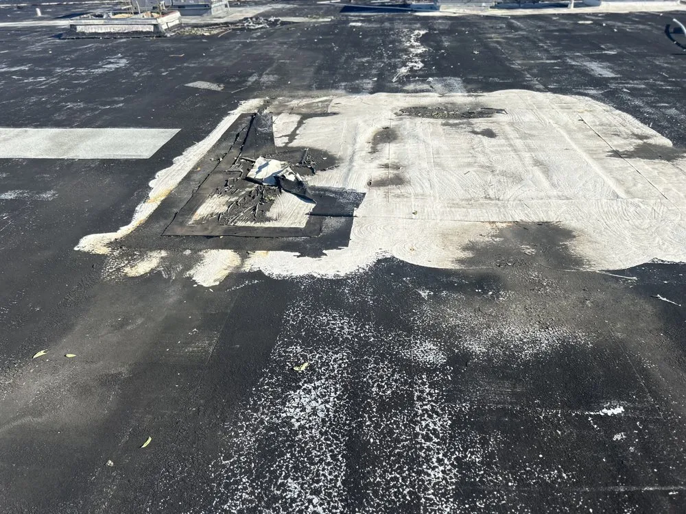 Affordable yard cleanup service for outdoor upgrades in Baton Rouge, LA by The Handy Helper