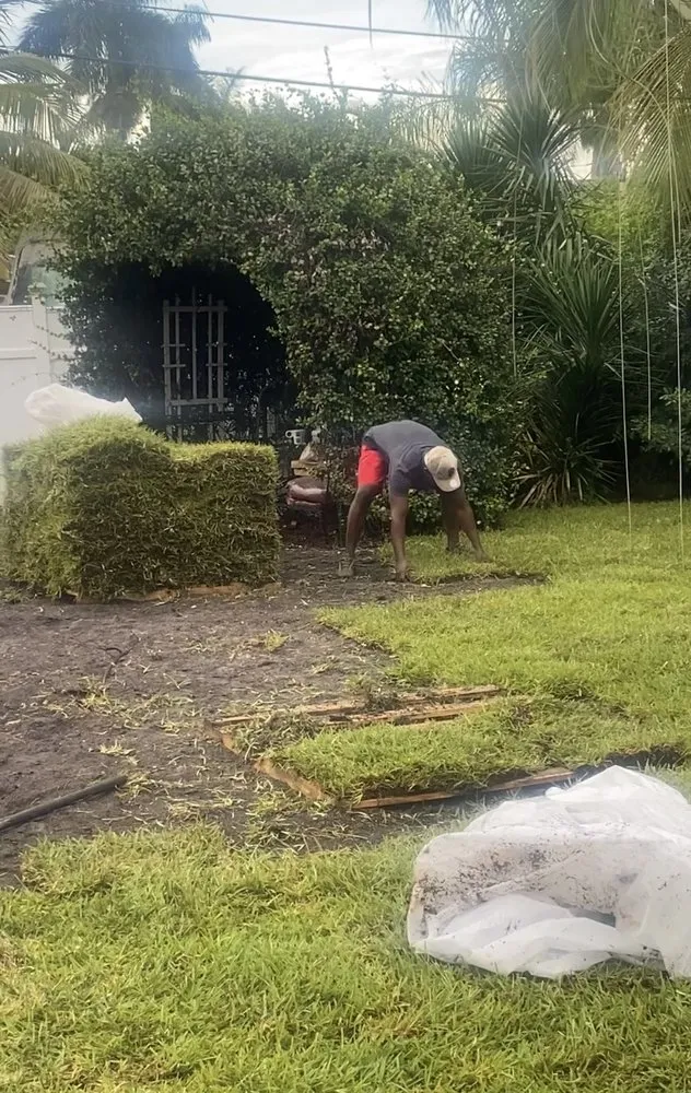 Trusted residential landscaping experts serving Palm Beach, FL - The Handy Helpers