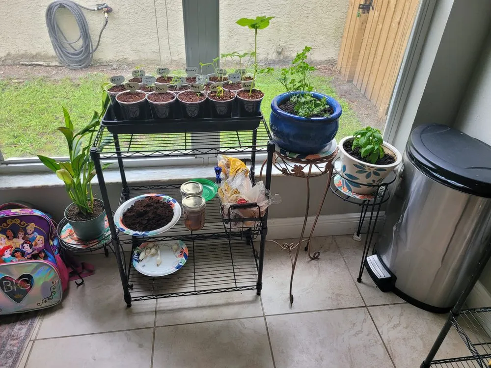 Local landscape design in Valrico, FL - The Handy Homesteader