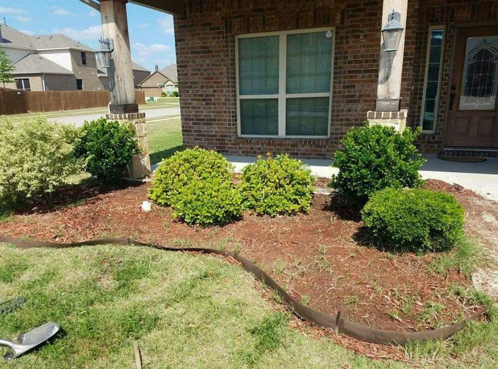 Expert yard cleanup service experts serving McKinney, TX - The Handy Rooster