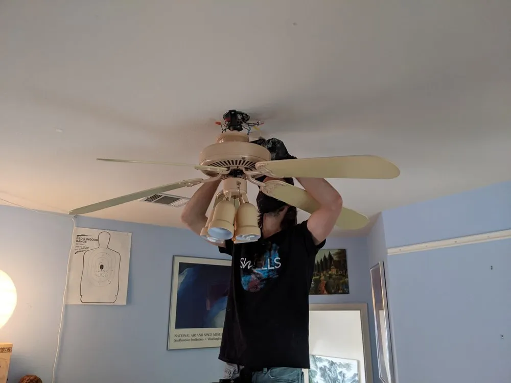 Top-rated residential landscaping in Austin, TX by The Handyband Collective