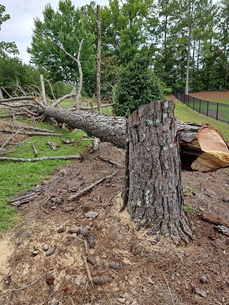 Top-rated lawn care service experts serving Gray, GA - The Handyman Can