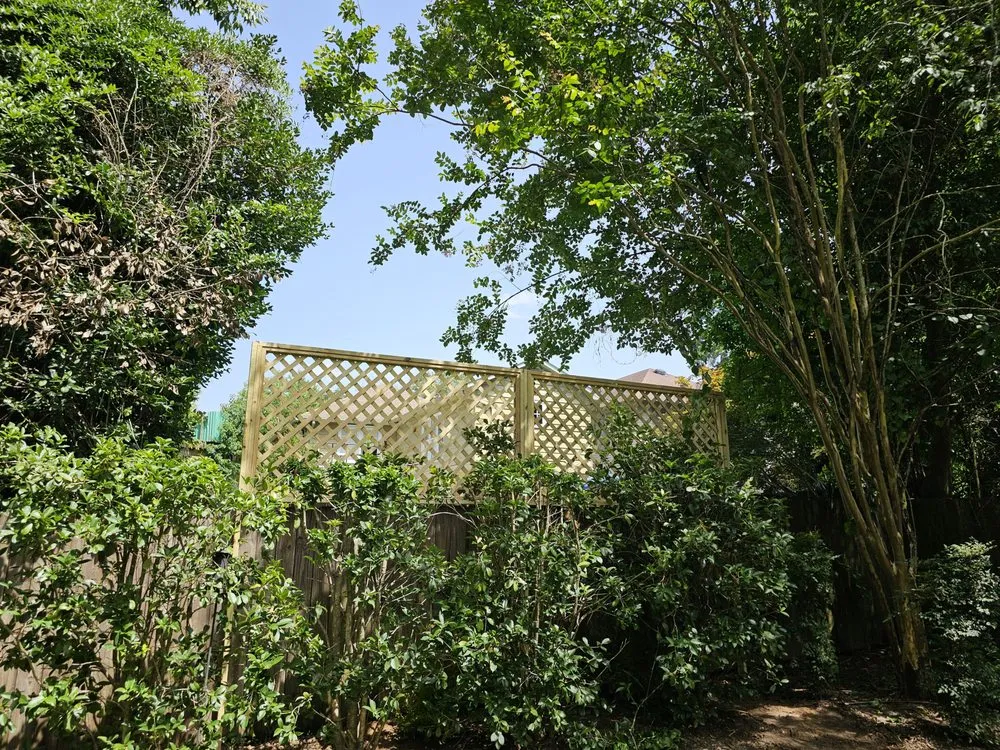 Affordable yard cleanup service for residential properties in Gray, GA by The Handyman Can