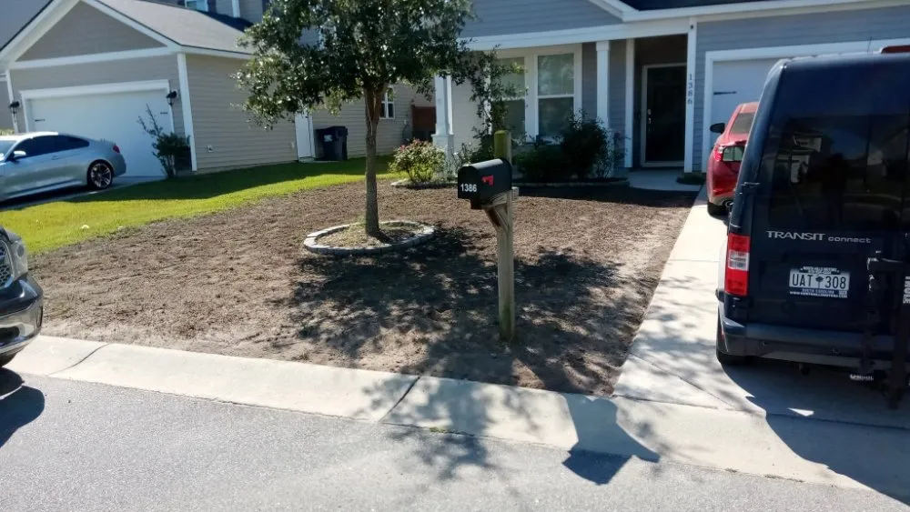 Affordable yard cleanup service for homes in Hollywood, SC by The Handyman Can of Charleston