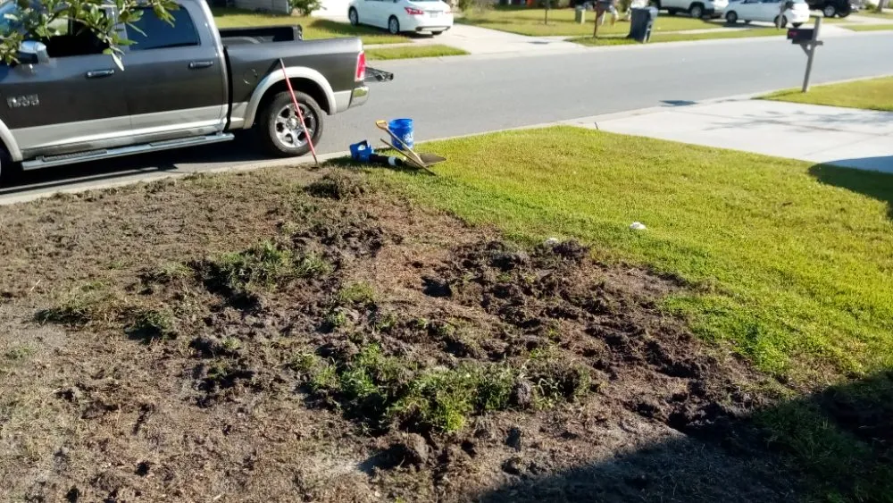 Professional garden landscaping in Hollywood, SC by The Handyman Can of Charleston