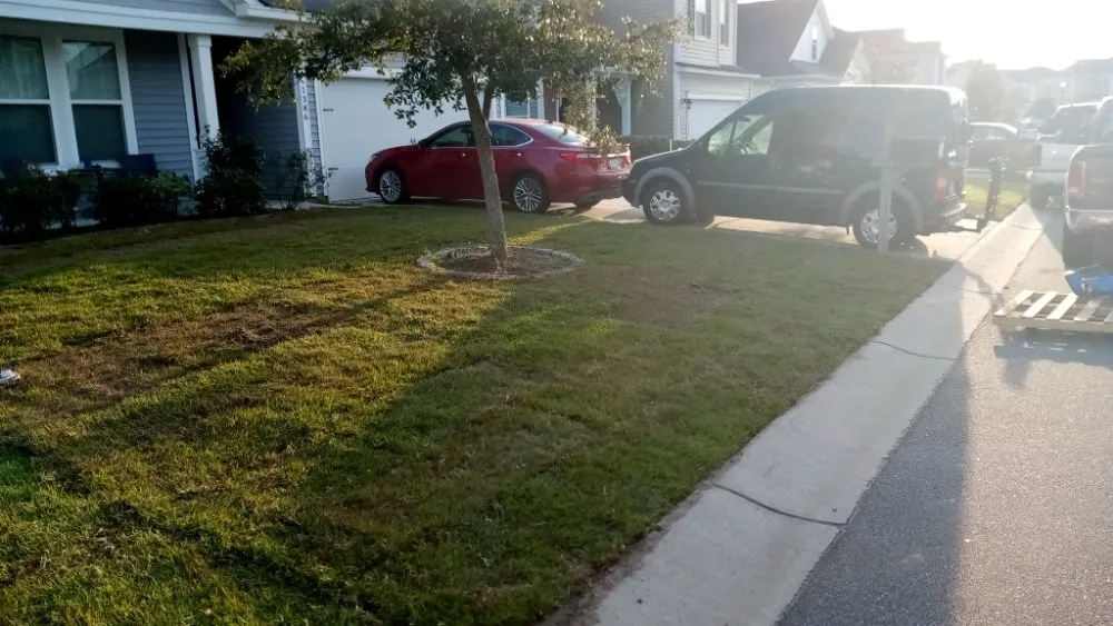 Reliable landscaping services near you in Hollywood, SC by The Handyman Can of Charleston