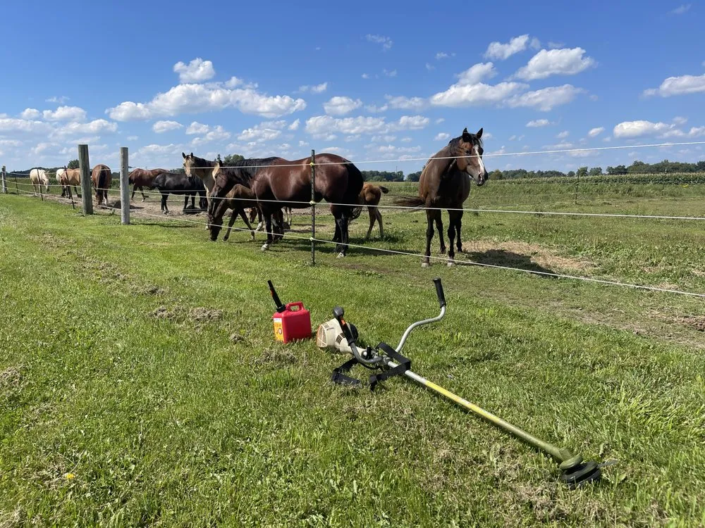 Expert landscape design for residential properties across Ionia, MI - The Handyman Helms