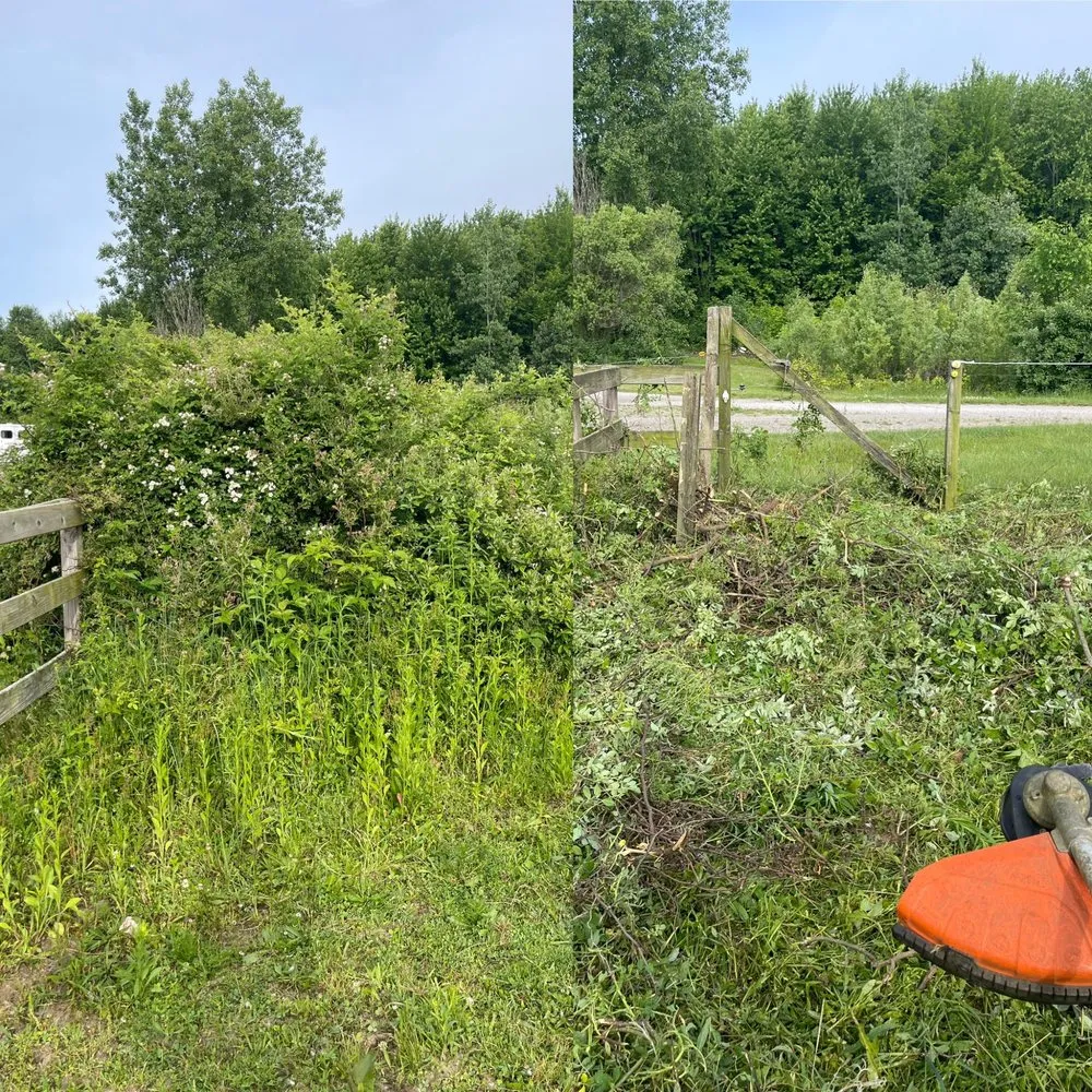 Expert yard cleanup service in Ionia, MI by The Handyman Helms