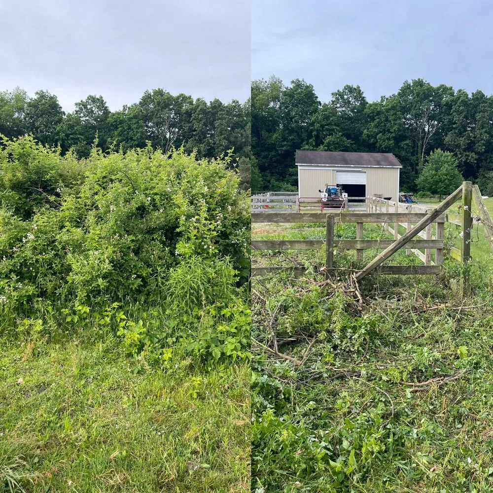 Custom yard cleanup service in Ionia, MI by The Handyman Helms