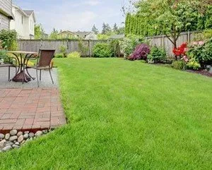 Custom lawn mowing service for residential properties in Leesburg, FL by The Happy Frog Lawn Care