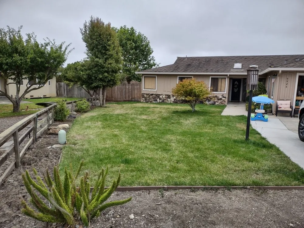 Top-rated landscaping services in Hollister, CA - The Happy Gardener