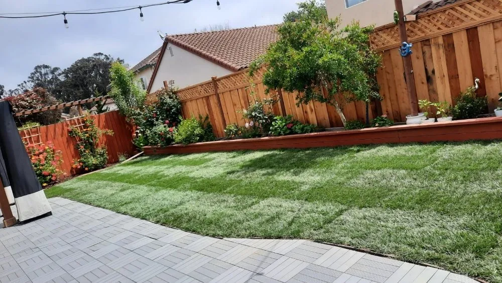 Affordable outdoor landscaping near you in Hollister, CA by The Happy Gardener
