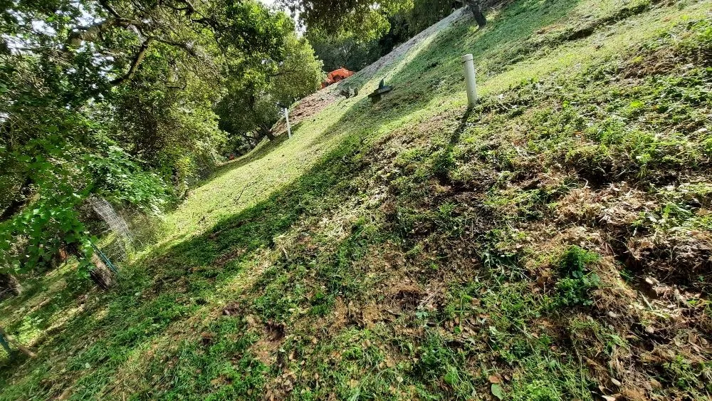 Expert landscape design in Hollister, CA - The Happy Gardener