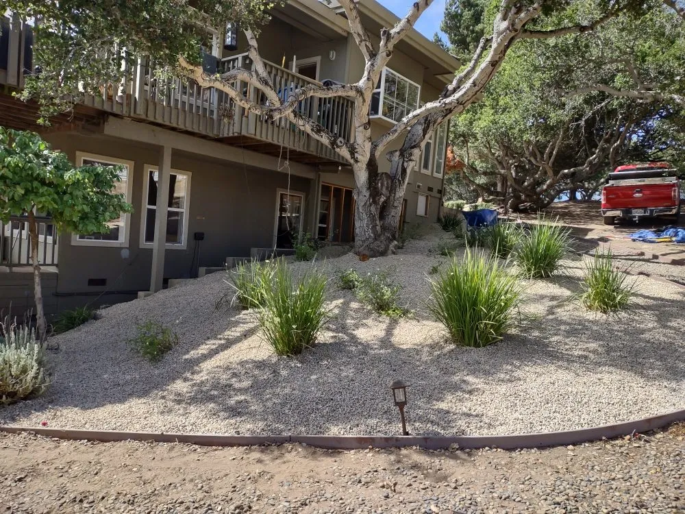 Reliable yard maintenance in Hollister, CA - The Happy Gardener