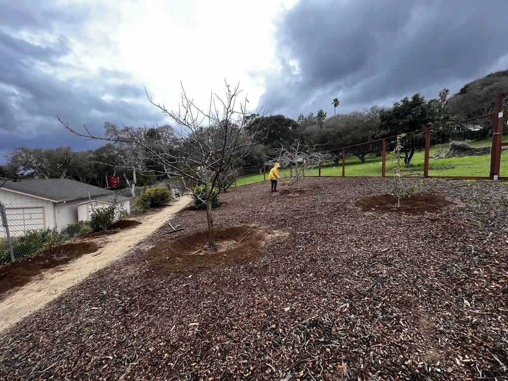 Top-rated landscape design in Hollister, CA - The Happy Gardener