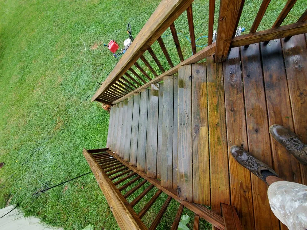 Top-rated yard maintenance in Knoxville, TN by The Harris