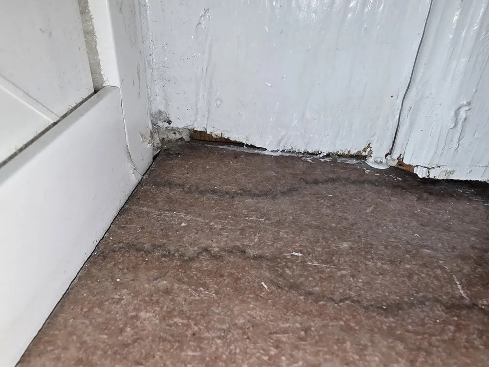 Top-rated yard maintenance experts serving Knoxville, TN - The Harris