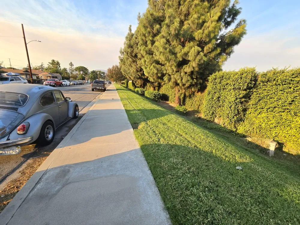 Top-rated landscaping services for year-round maintenance across Redlands, CA - The Harris Lawn