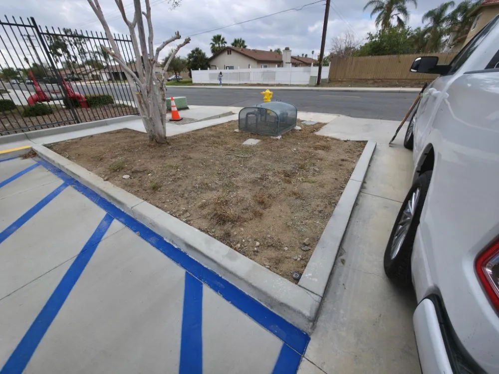 Local yard cleanup service near you across Redlands, CA - The Harris Lawn