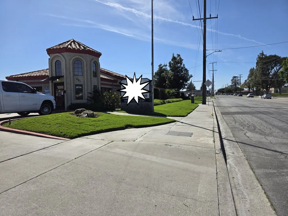 Trusted yard cleanup service in Redlands, CA - The Harris Lawn