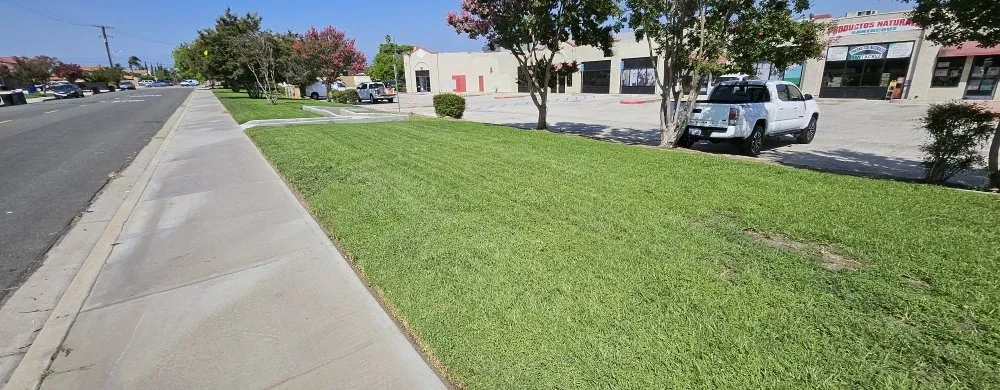 Top-rated outdoor landscaping in Redlands, CA - The Harris Lawn