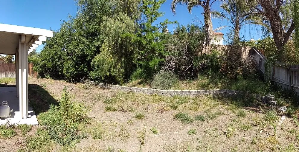 Top-rated landscape installation in Redlands, CA - The Harris Lawn