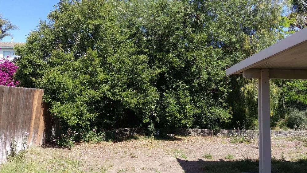 Top-rated lawn care service in Redlands, CA - The Harris Lawn