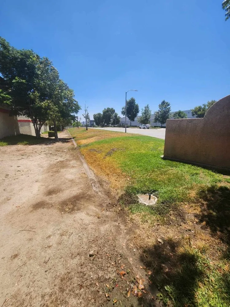 Affordable yard maintenance for homes across Redlands, CA - The Harris Lawn