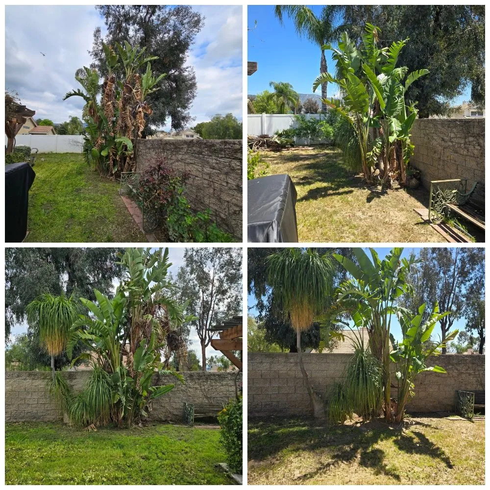 Local garden landscaping in Redlands, CA by The Harris Lawn