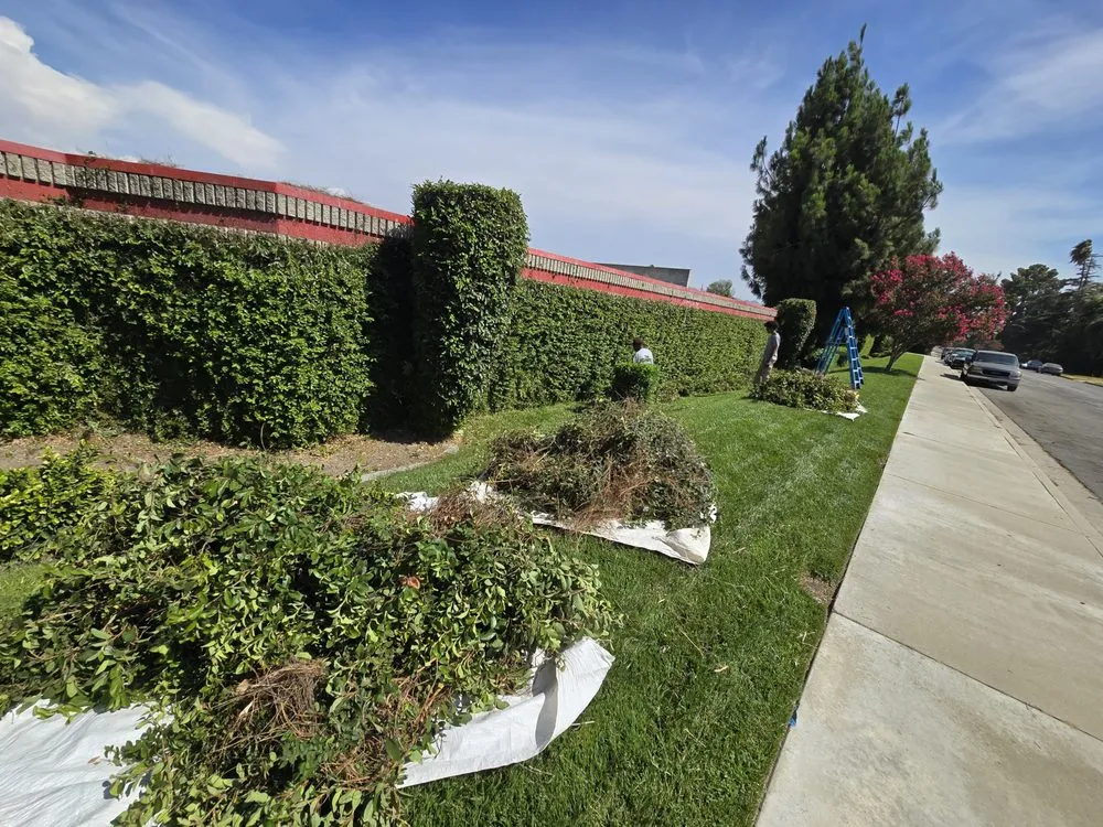 Professional lawn care service in Redlands, CA - The Harris Lawn