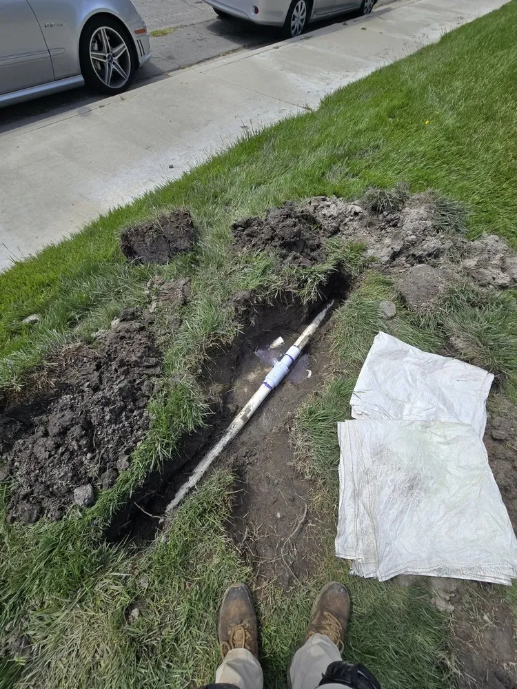 Professional landscaping services in Redlands, CA - The Harris Lawn