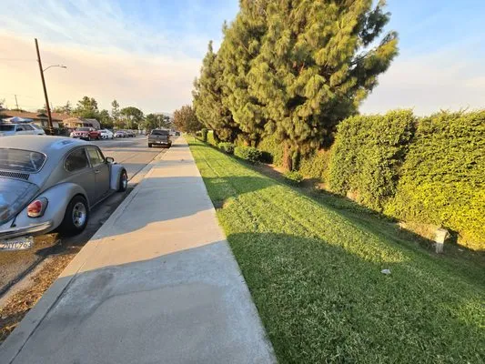 The Harris Lawn Logo