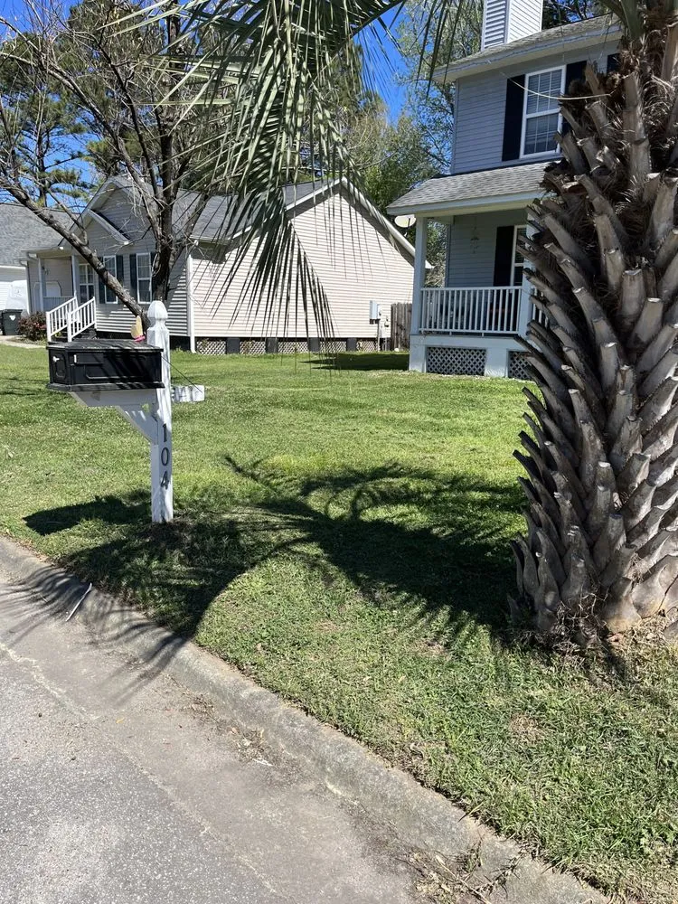 Trusted landscape design experts serving Summerville, SC - The Haviland Company