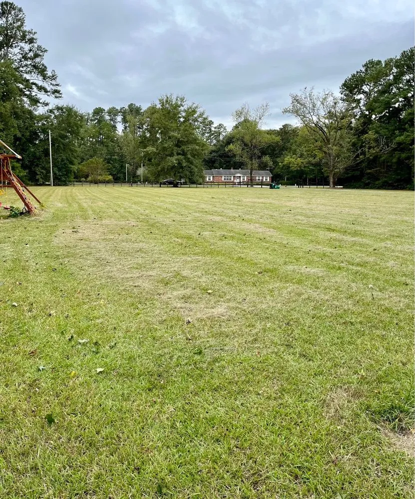 Expert landscape installation with custom design across Summerville, SC - The Haviland Company