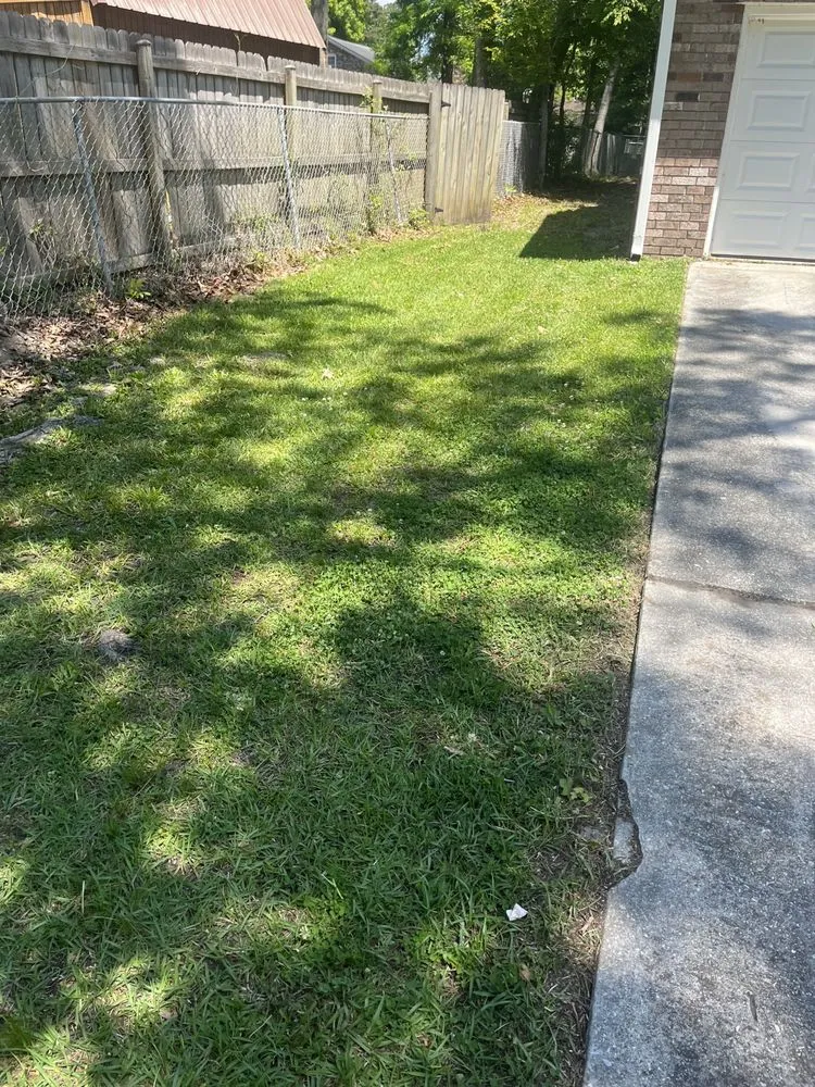 Trusted landscaping services in Summerville, SC - The Haviland Company