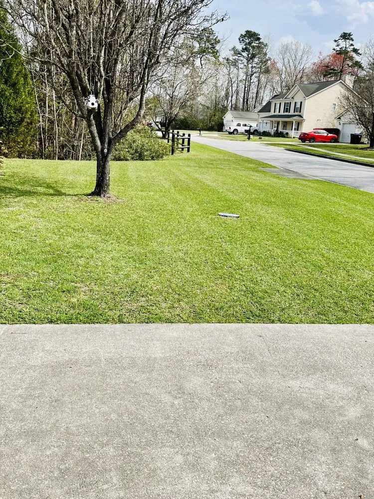 Top-rated landscaping services for year-round maintenance across Summerville, SC - The Haviland Company