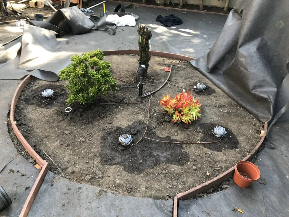 Reliable landscape installation near you in Los Angeles, CA by The Healthy Landscaping