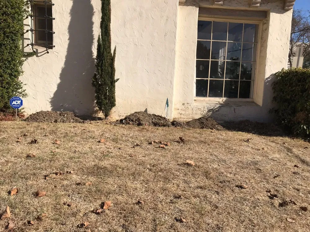 Trusted garden landscaping with custom design in Los Angeles, CA by The Healthy Landscaping